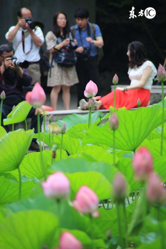 白茹云现在的生活怎么样,形容白茹云的诗句