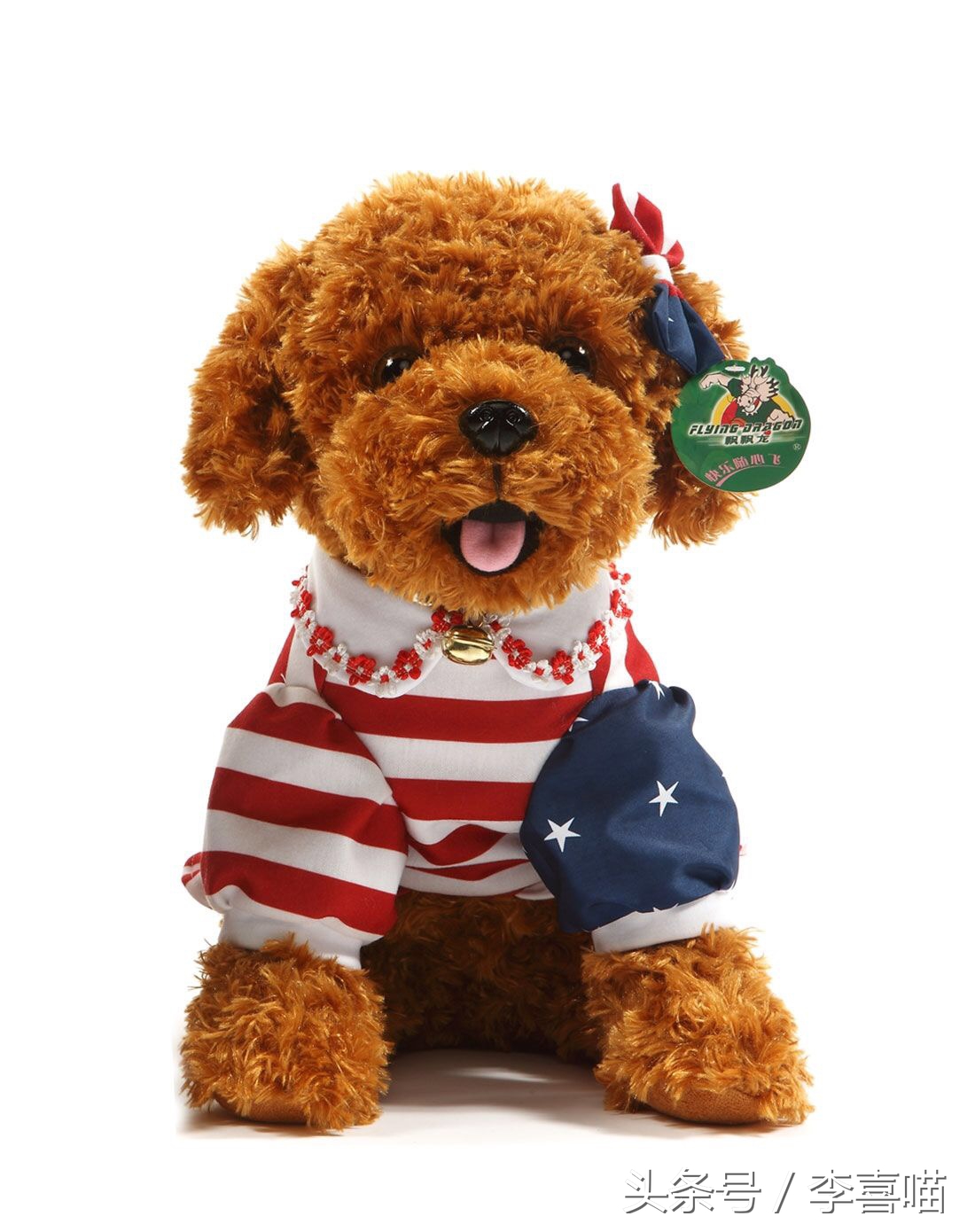 泰迪犬的市场价格和购买时应该关注的事