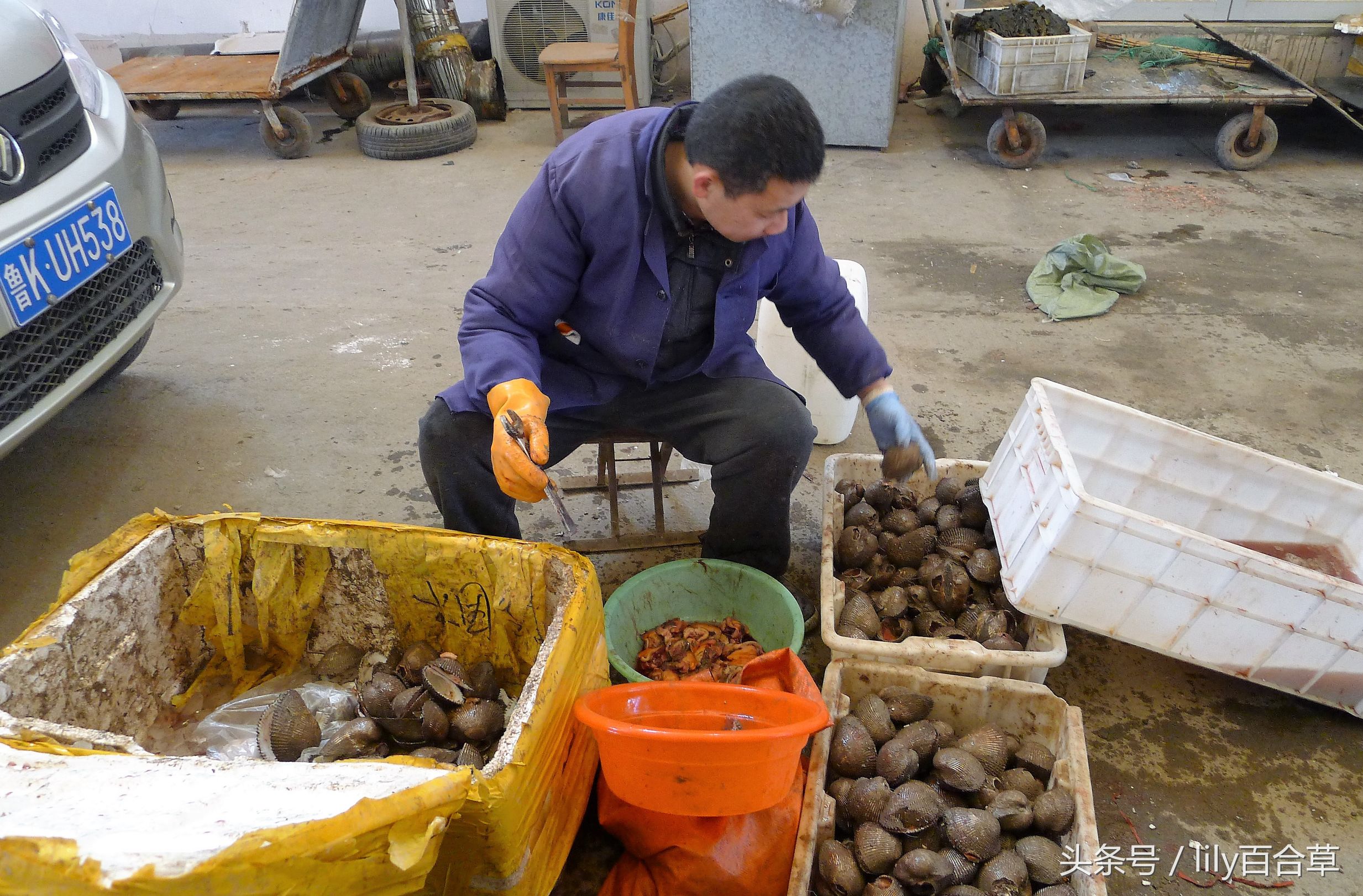 哪些海鲜可以带回家,回家路上可以带海鲜吗