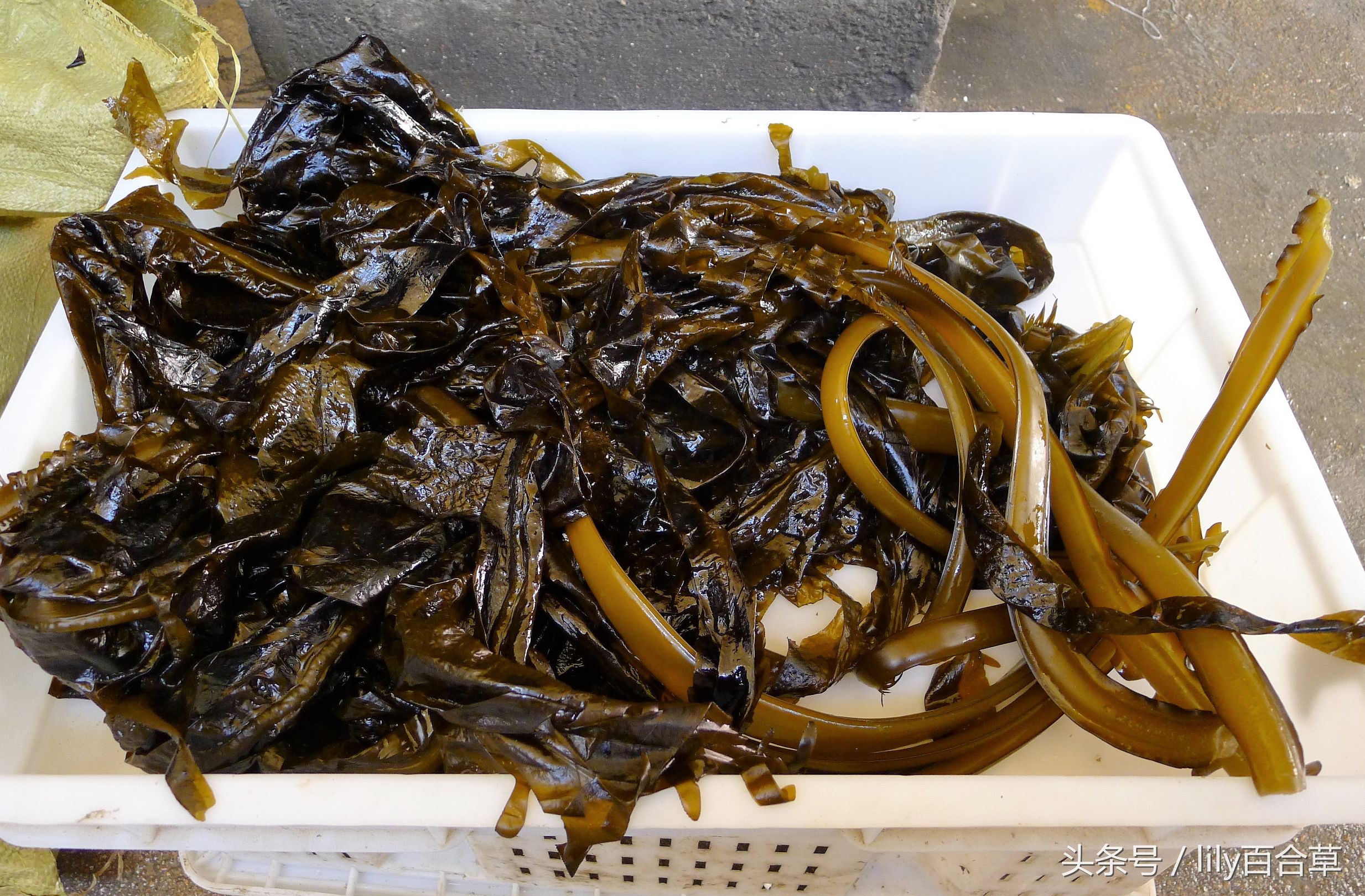 哪些海鲜可以带回家,回家路上可以带海鲜吗