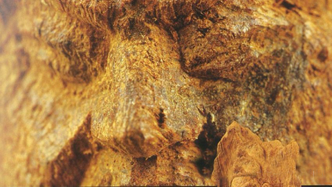 大地瑰宝沉香电子版,大地瑰宝香港沉香