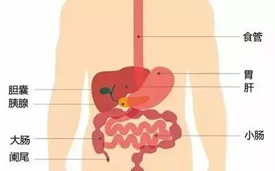 用药提醒：胃痛勿吃止痛药