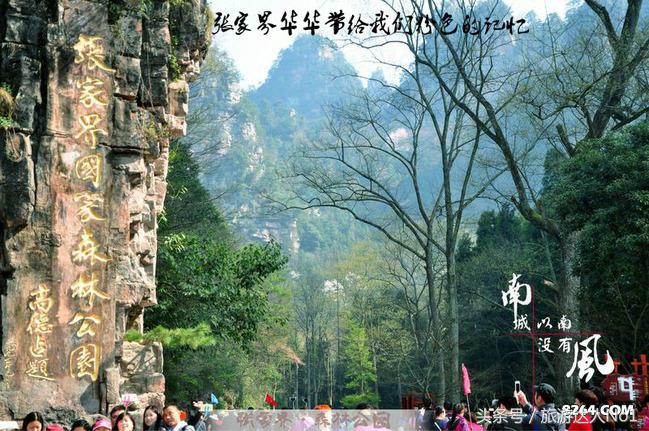 张家界国家森林公园旅游攻略,张家界品质游旅行社旅游攻略