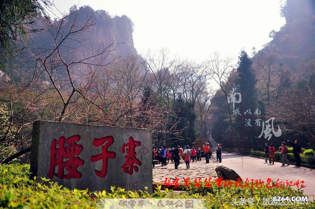 张家界国家森林公园旅游攻略,张家界品质游旅行社旅游攻略