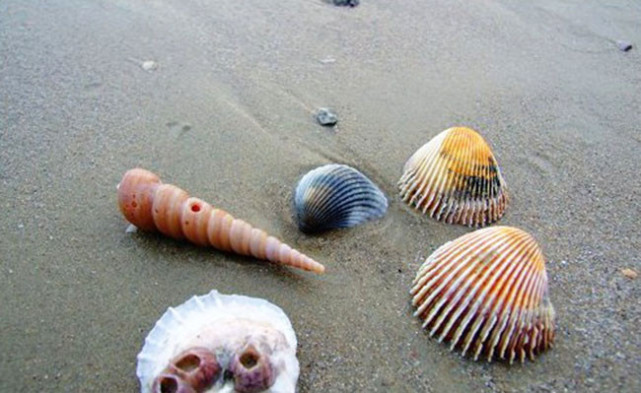 一次说走就走的旅游海南三亚,一次说走就走说回就回的旅行