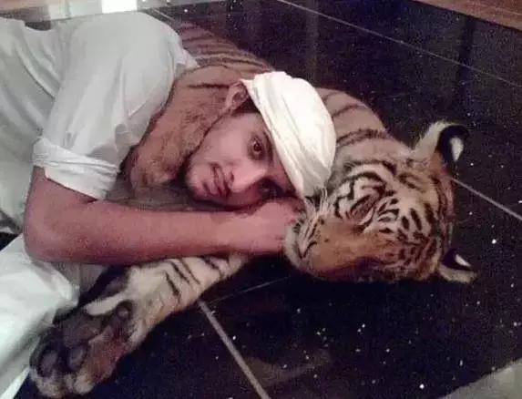 迪拜十大奇闻异事,迪拜不可思议十大发现