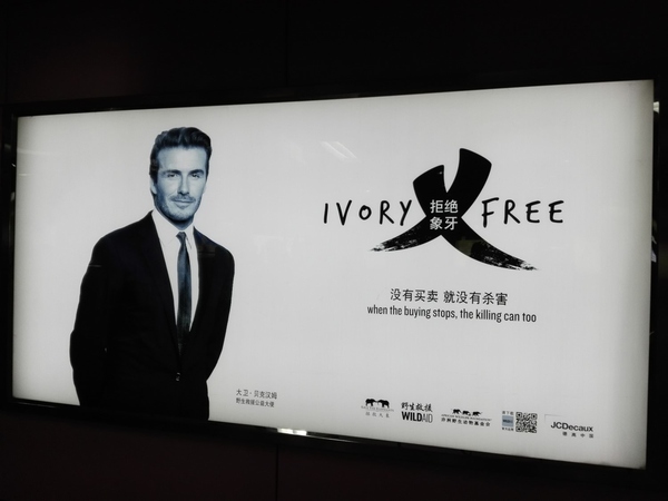 鍦颁腑娴锋境瀹濊泲鐧界煶鏄櫧鑹插悧,鍦颁腑娴锋境瀹濊泲鐧界煶钃濊壊