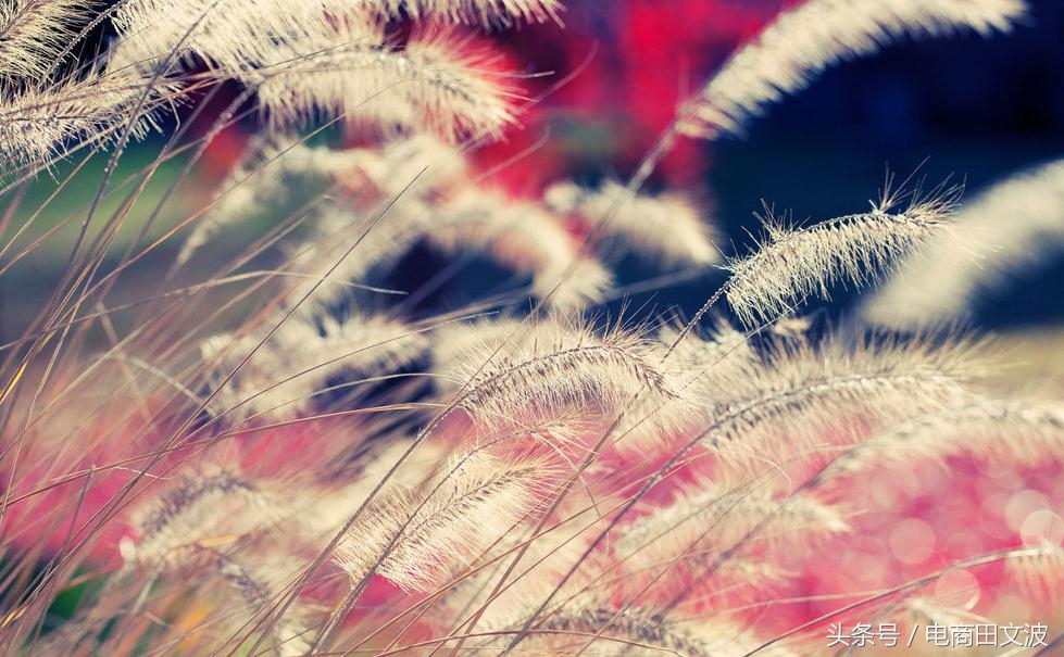 淘抢购是怎样优惠,淘抢购天天特卖聚划算