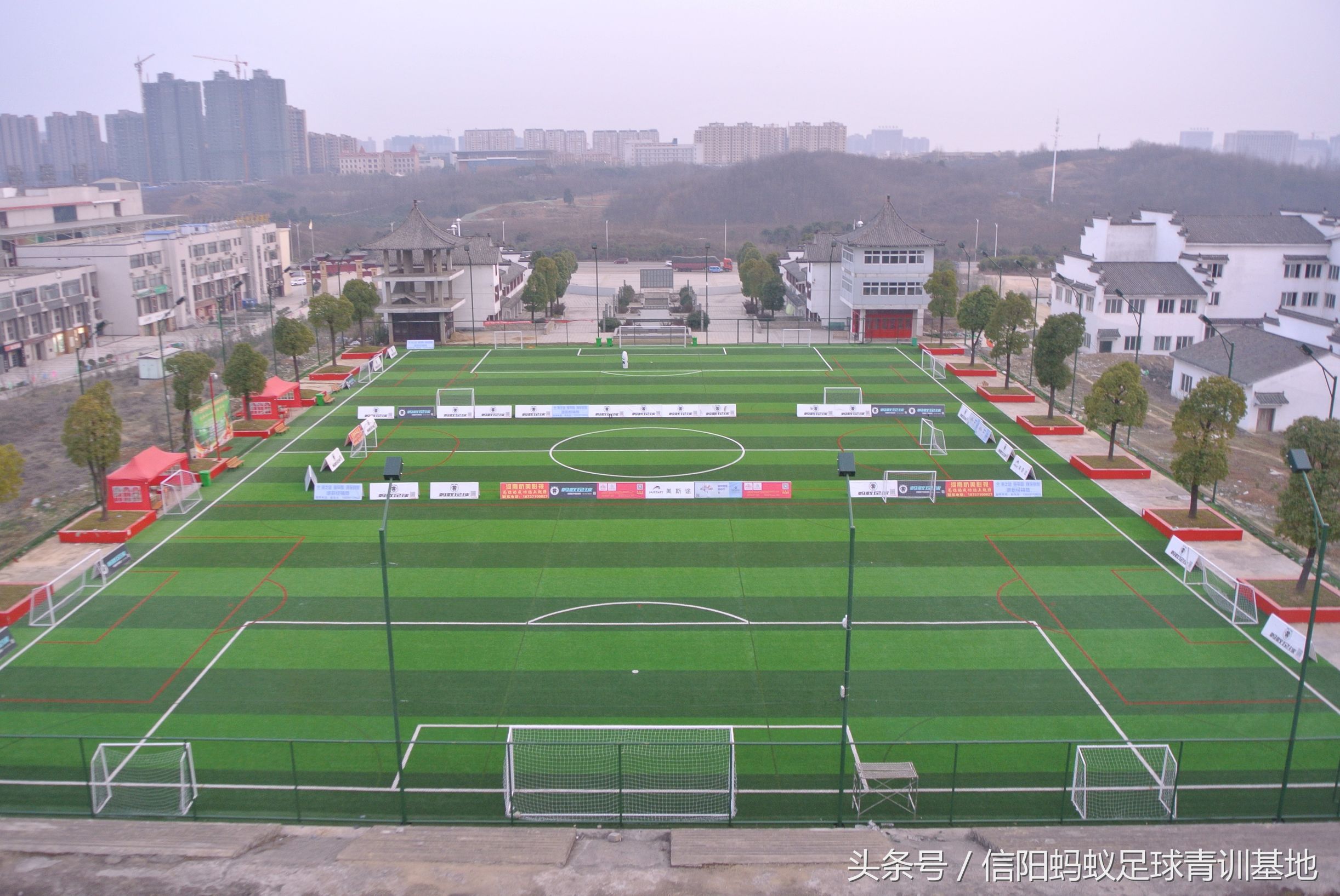 信阳蚂蚁足球俱乐部,河南信阳蚂蚁足球俱乐部有限公司