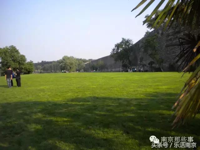 南京梅花赏花游记,好玩的摘草莓胜地打卡