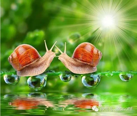 韩国最火的伊思白蜗牛霜和红蜗牛霜你知道区别到底是什么吗？