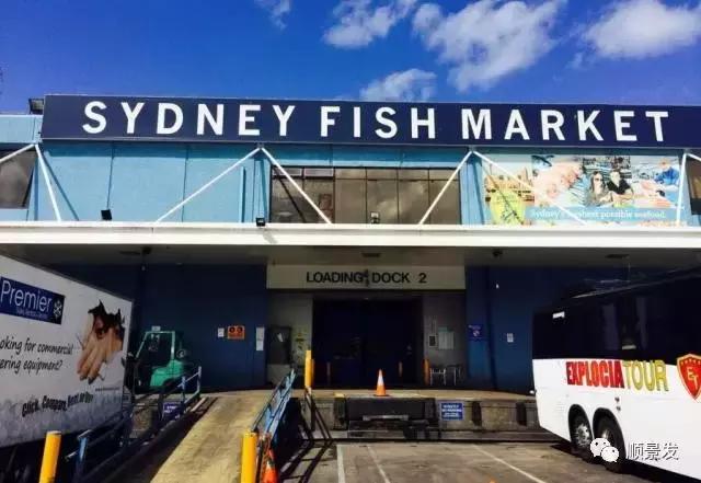 全球十大海鲜市场排名,全球大型海鲜批发市场