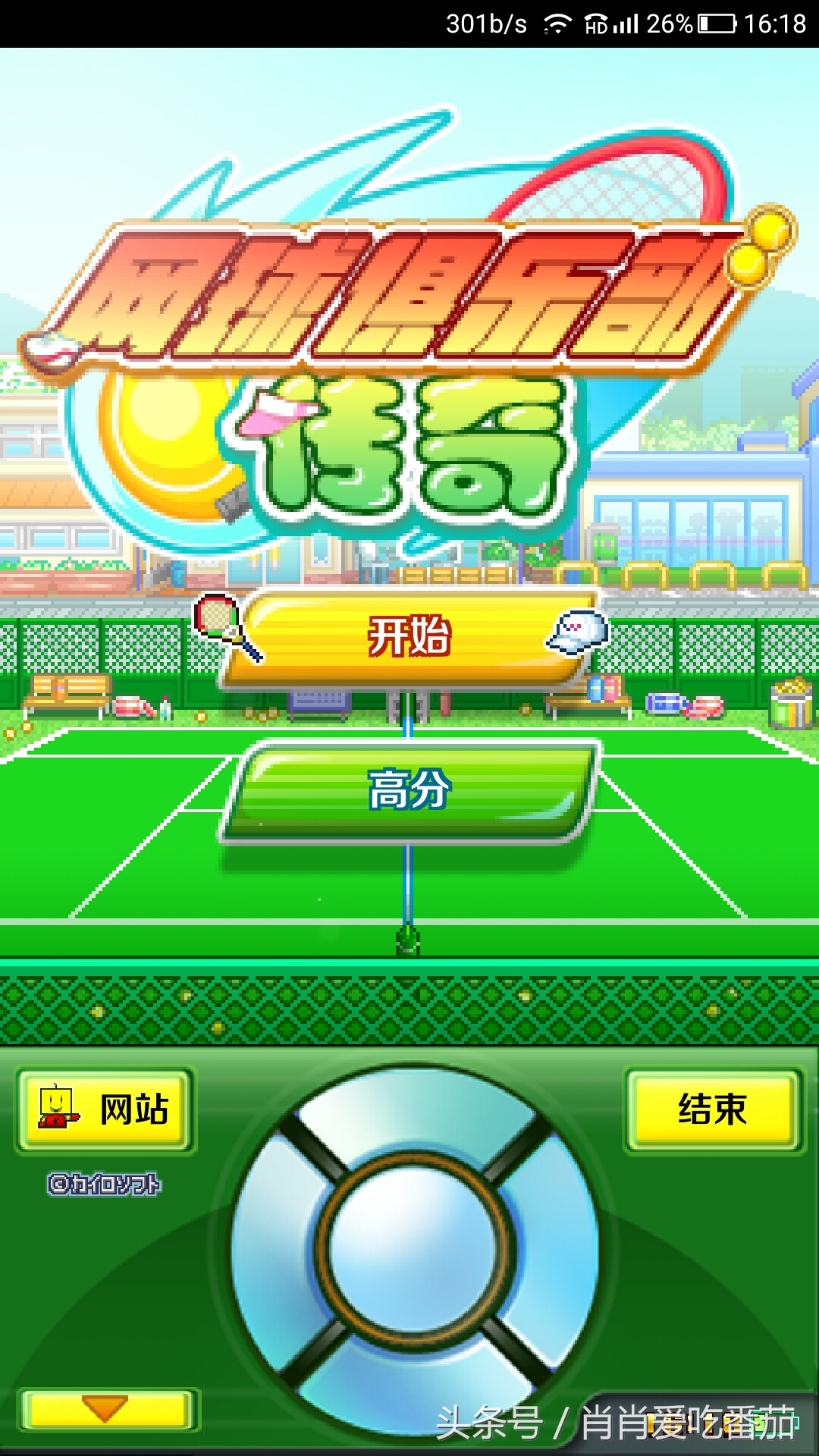 开罗养成经营类女生游戏,开罗像素风经营类游戏