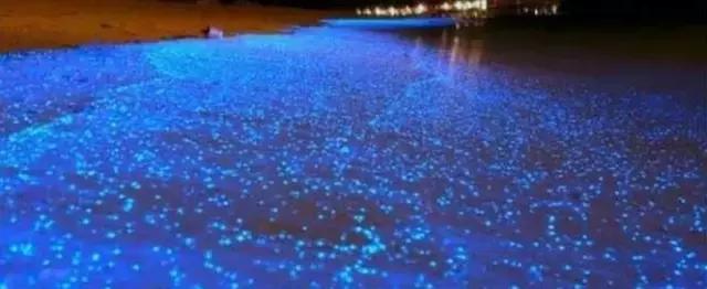 澶ц繛涓栦簨娌ф,澶ц繛鑺濇牴鑺濆簳