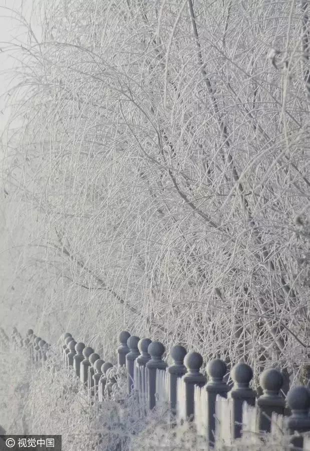 澶ц繛涓栦簨娌ф,澶ц繛鑺濇牴鑺濆簳