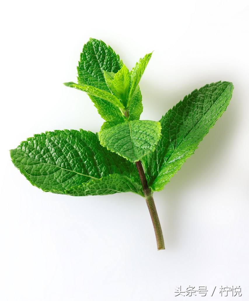 ps告别黑眼圈,告别眼袋黑眼圈的偏方大全