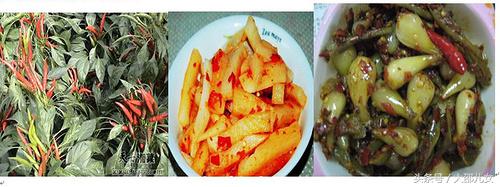 十六道风味融合菜,十六道肉菜不重样