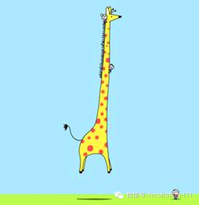 春季孩子黄金长高季：骨科医生教你如何长高，果断收藏，要长高！