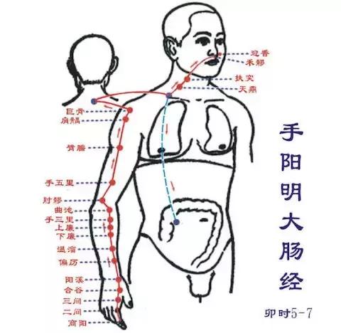 经络调理秘诀小程序,经络治百病