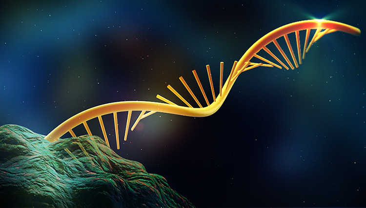 生命如何在地球上起源的？