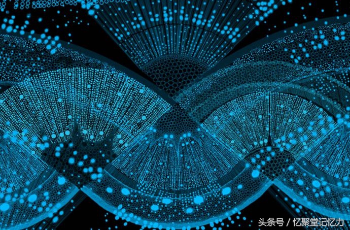 记忆单词真有好办法吗,记忆单词口诀大全