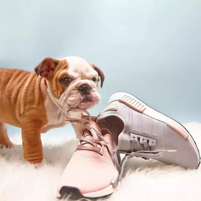 2017春夏必败鞋,2017年必买鞋