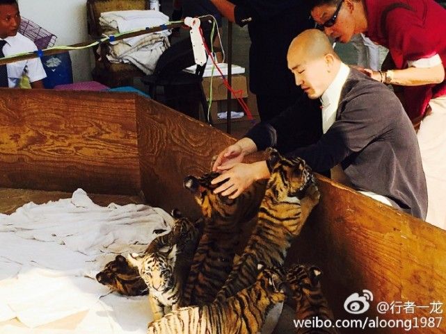 一龙展示金钟罩铁布衫被ko,一龙ko一龙完整版