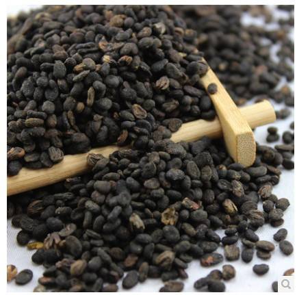 补骨脂中药讲解,补骨脂的正确配伍方法