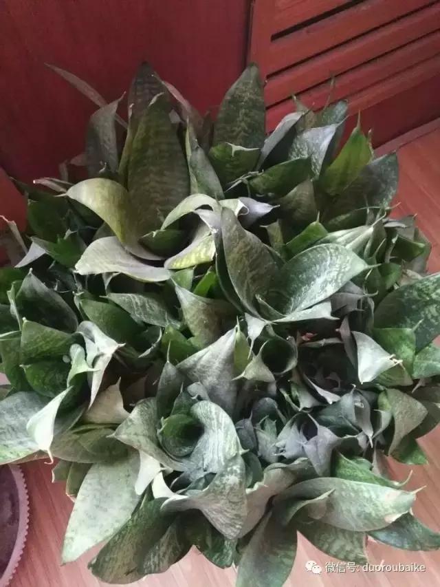 一入肉坑深似海，妈妈姥姥一起上！