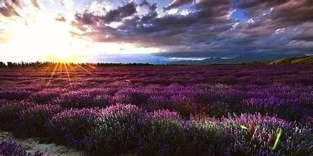 澶ц繛涓栦簨娌ф,澶ц繛鑺濇牴鑺濆簳