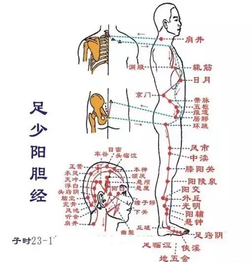 经络调理秘诀小程序,经络治百病