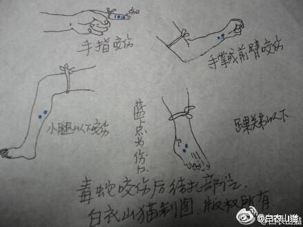 防蛇安全小知识,防蛇