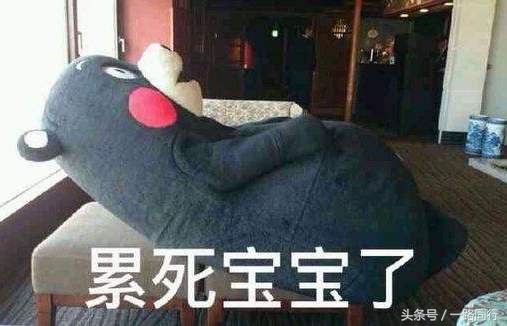 出差和旅游傻傻分不清楚,跟好朋友出来旅游旅游观念不同