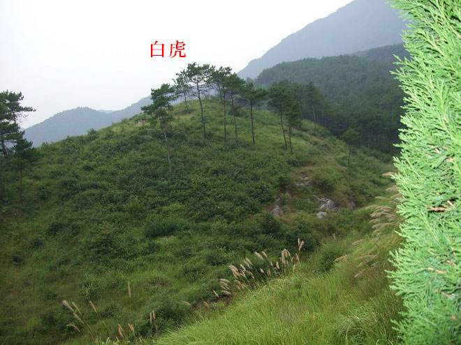 唐朝风水历史故事简短,唐朝灭亡前的诡异怪事