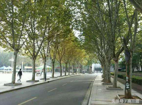 中国最牛学校黄埔,广东最强学校黄埔