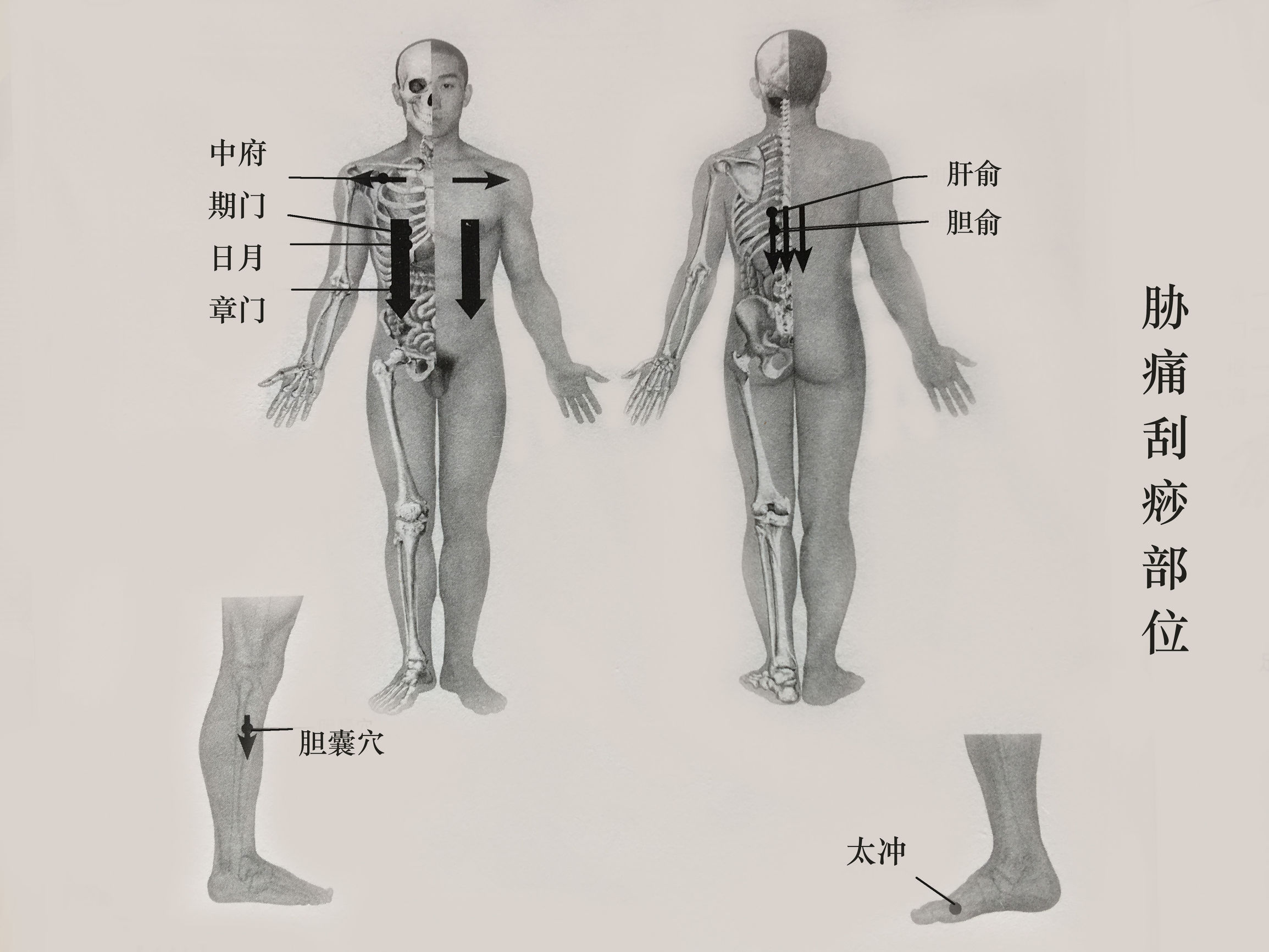 前胸颈后刮痧的正确方法,前胸和肚子的刮痧手法