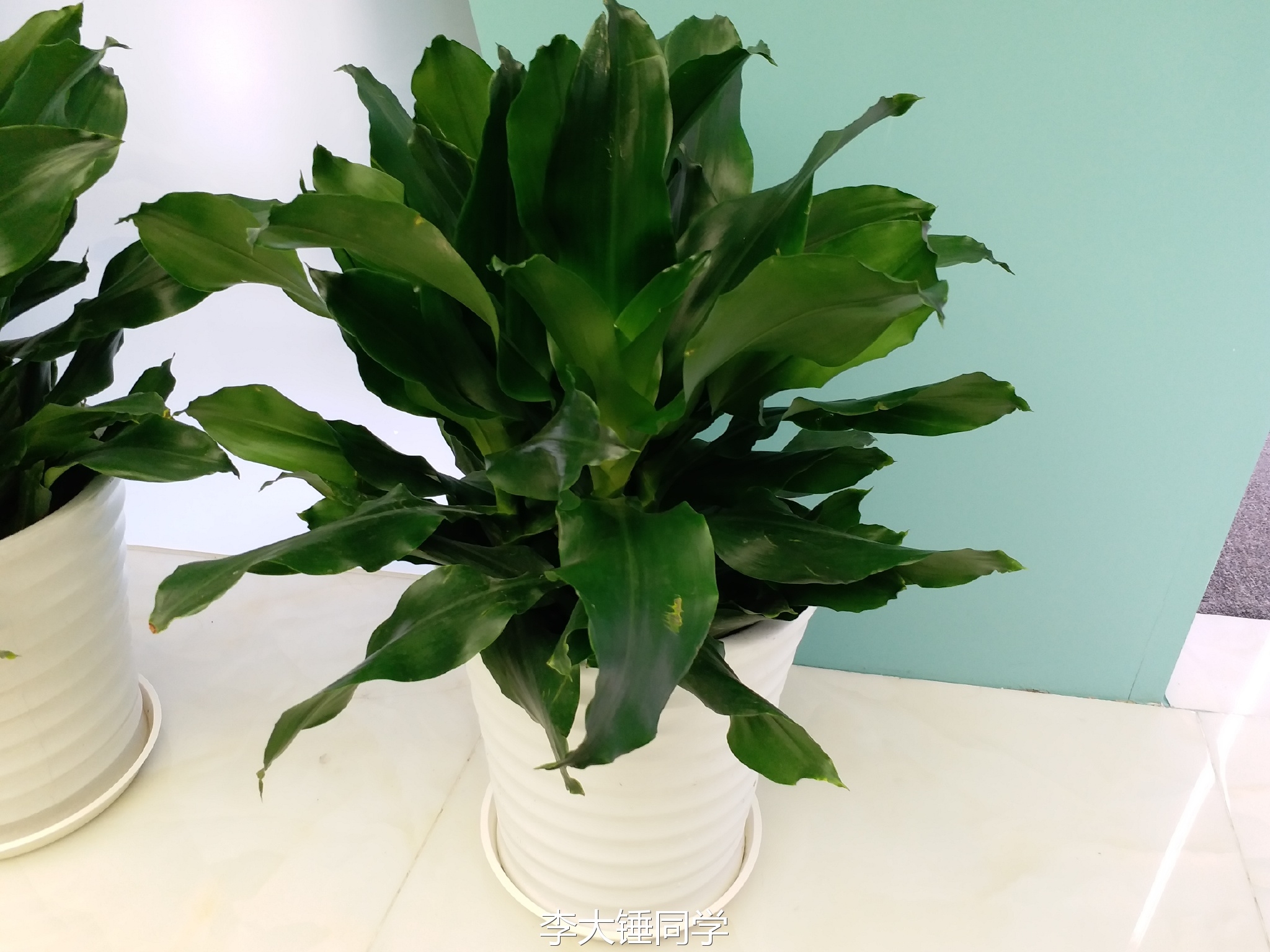 三星galaxys21+测评,三星galaxyc7缺点