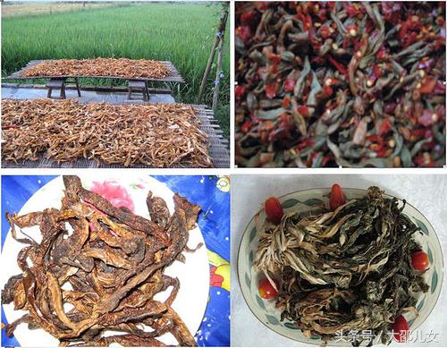 十六道风味融合菜,十六道肉菜不重样