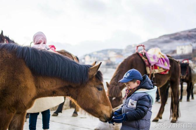 昆明至昭通大山包自驾攻略,云南昭通大山包自驾游攻略