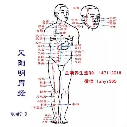 经络调理秘诀小程序,经络治百病