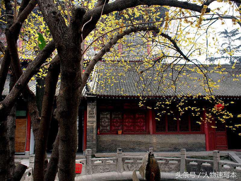 抑郁症可以出家在寺庙治好吗,女子出家为尼10年后起诉离婚