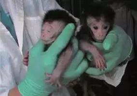 2021年中国科技成果回顾总结,2021年中国重大科技