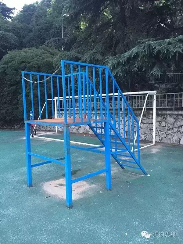 看台女神,看台上的美女