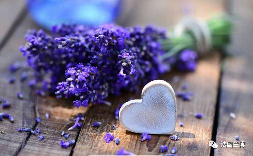 香水冷知识世界上第一款娇兰香水,这些香水冷知识你都知道吗