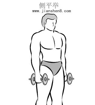 新手哑铃健身计划一周表,哑铃健身计划及标准动作图