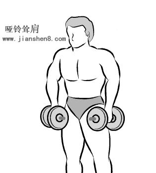 新手哑铃健身计划一周表,哑铃健身计划及标准动作图