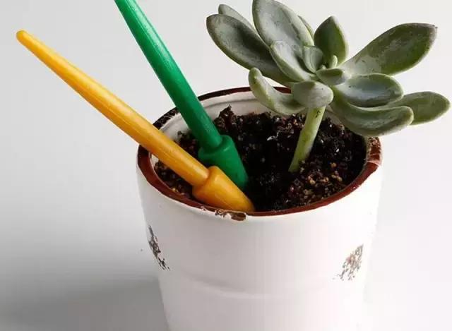 多肉专用工具大全,种多肉工具铲子