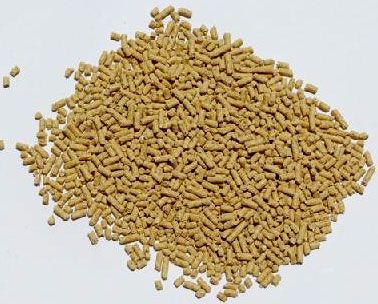 哺乳母猪呕吐是什么原因,母猪怀孕呕吐的原因和治疗方法