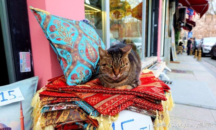 伊斯坦布尔大巴扎在哪里,伊斯坦布尔大巴扎值得买