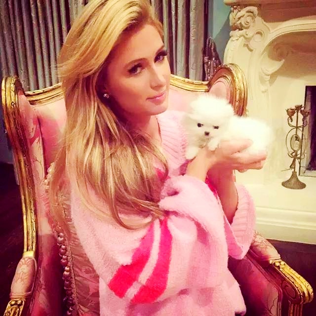 卧室慵懒风格拍照,4套超美的卧室设计